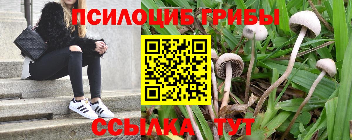 Псилоцибиновые грибы GOLDEN TEACHER Ханты-Мансийск